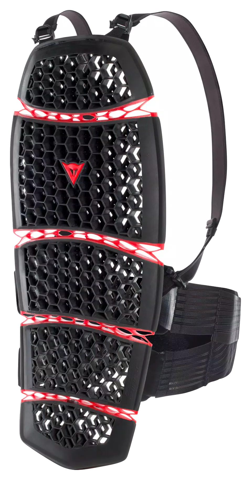 Motorcycle back protector