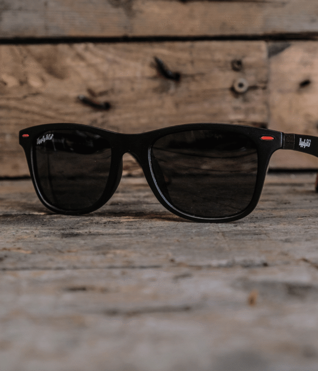 WayFarer Sunglasses